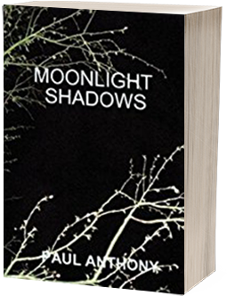 Moonlight Shadows by Paul Anthony